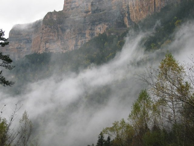 Faja de Racn (vista desde la pradera)