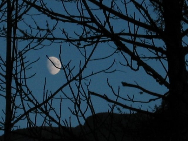 hubo luna casi llena... pero no lobos