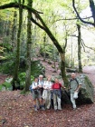 Bosque de hayas